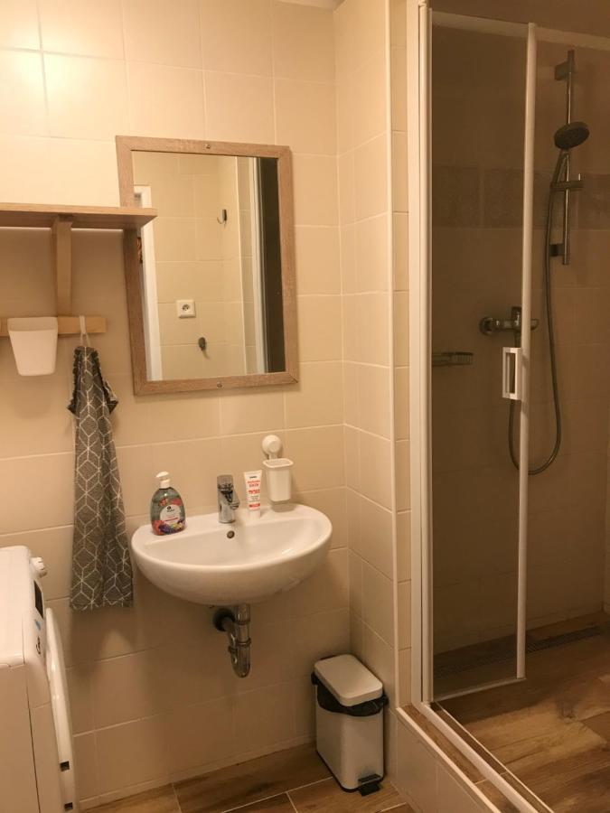Apartman Orlicke Zahori Dış mekan fotoğraf