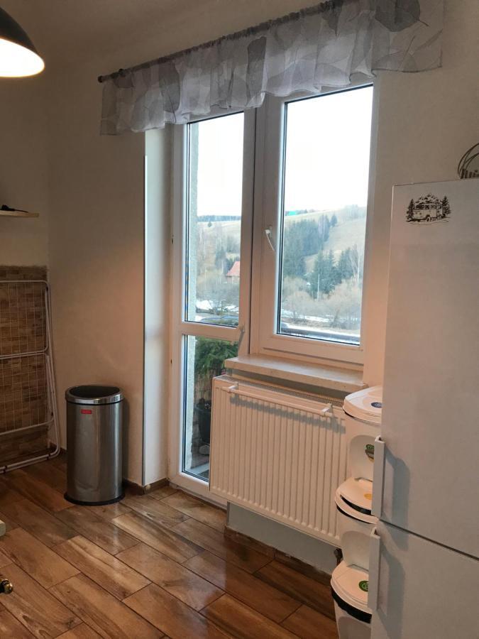 Apartman Orlicke Zahori Dış mekan fotoğraf