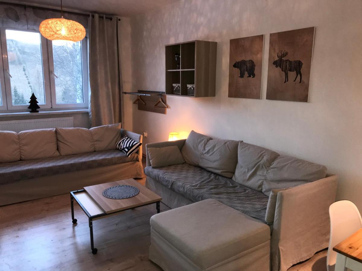 Apartman Orlicke Zahori Dış mekan fotoğraf